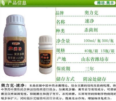 專業解讀草莓炭疽病的防控之道 速凈100ml水劑批發指南